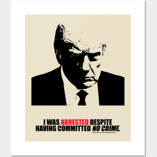 Donald Trump Posters and Art